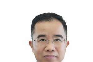 Ông Lê Trung Hiếu, Vụ trưởng Vụ Hệ thống tài khoản quốc gia (Tổng cục Thống kê)