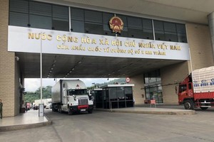 Lào Cai đã thông báo tạm dừng tiếp nhận xe chở trái cây tươi đến cửa khẩu quốc tế đường bộ số II Kim Thành để xuất khẩu.