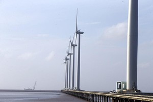 WB đề xuất lộ trình cho điện gió ngoài khơi