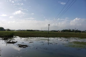 Quảng Ngãi xử lý chủ đầu tư “ngâm” giải ngân vốn đầu tư công năm 2021