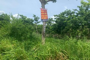 Mê Linh là địa phương có nhiều dự án chậm triển khai.