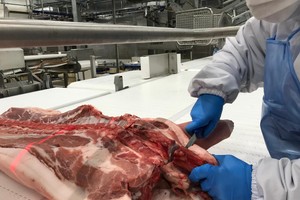 Cầu tiêu dùng thịt lợn sau Tết sụt giảm mạnh, kéo giá lợn hơi đi xuống.