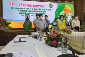 Đồng Tháp tăng cường liên kết hợp tác phát triển chuỗi cung ứng xuất khẩu