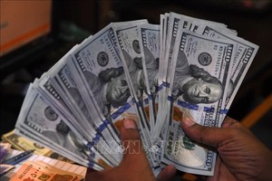 Ảnh minh họa: AFP/TTXVN