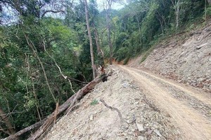 Hiện trường vụ phá rừng, mở đường làm Dự án đường Trường Sơn Đông. Ảnh: T.T