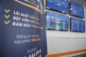 Cơ quan quản lý nhà nước nên tăng cường giám sát, đảm bảo trái phiếu phát hành riêng lẻ chỉ được bán cho các nhà đầu tư chuyên nghiệp.