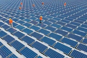 Nhà đầu tư điện mặt trời không muốn mất cơ hội