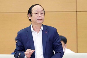 Thứ trưởng Bộ Tài nguyên và Môi trường Võ Tuấn Nhân phát biểu tại phiên họp (Ảnh: DT).