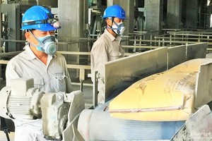 Nguồn cung xi măng tại chỗ tăng cao trong khi nhu cầu tại Nghệ An, Hà Tĩnh tăng thấp, Vicem Hoàng Mai dự kiến doanh thu năm 2022 giảm khoảng 28 tỷ đồng so với 2021.