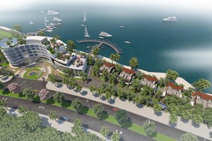 Mua liên tiếp ba công ty, Cienco4 bứt tốc chiến lược “kiềng 3 chân”
