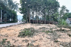 Một thửa đất tại xã Bắc Sơn, huyện Sóc Sơn đang được rao bán quanh mức giá 10 triệu đồng/m2. Ảnh: Thành Nguyễn