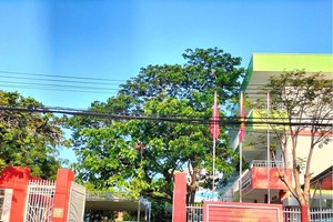 Trường mầm non Ischool Ninh Thuận. Ảnh: Duy Quan