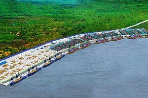 Cảng Phước An không ghi nhận doanh thu, dẫn tới lỗ trong quý đầu năm 2022