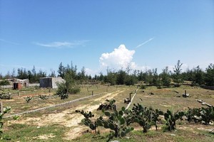 Một khu đất phân lô, bán nền ở tỉnh Quảng Ngãi. Ảnh: P.V