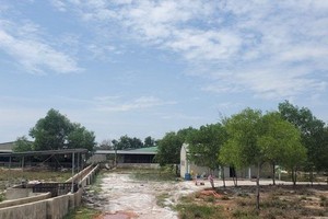 Thừa Thiên Huế phạt doanh nghiệp gây ô nhiễm môi trường gần 230 triệu đồng