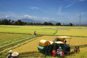 Khu vực kinh tế tập thể nói chung, HTX nói riêng chưa phát triển đúng tiềm năng, kỳ vọng