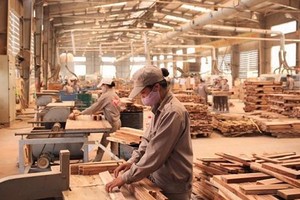 Mỹ khởi xướng điều tra lẩn tránh thuế chống bán phá giá và chống trợ cấp với tủ gỗ Việt Nam.