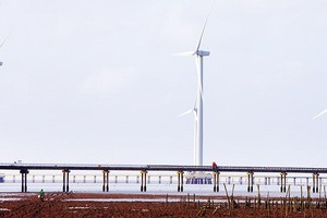 Hiện chưa có quy định rõ ràng với điện gió ngoài khơi, chưa hoàn thành quy hoạch không gian biển quốc gia. Ảnh: Đức Thanh