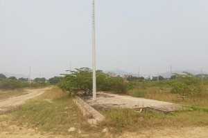 Dự án New Danang City đang trong tình trạng... cây cỏ mọc um tùm. Ảnh: P.V