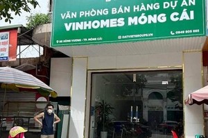 Quảng Ninh: Tạm dừng hoạt động 13 văn phòng giao dịch bất động sản tại TP. Móng Cái