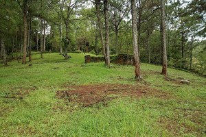 Lâm Đồng: Địa ốc Phú Đông phải rà soát, điều chỉnh đề xuất dự án cây dược liệu