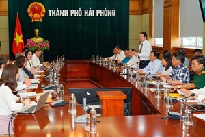 Hải Phòng đẩy nhanh triển khai dự án điện gió ngoài khơi 3.900 MW