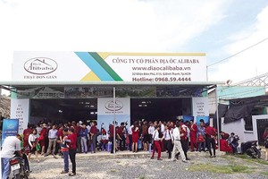 Sự lớn nhanh bất thường của Alibaba khiến Báo Đầu tư đặt dấu hỏi và vào cuộc điều tra