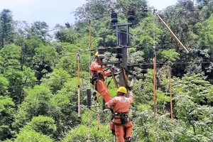 Thường trực Chính phủ dự kiến họp về Quy hoạch Điện VIII