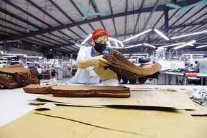 Các dự án FDI đã khiến năng lực sản xuất và quy mô xuất khẩu của ngành dệt may tăng nhanh