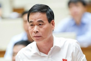 Phó chủ nhiệm Ủy ban Tư pháp Nguyễn Mạnh Cường phát biểu tại hội nghị.