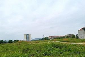 Nhếch nhác tại Dự án khu đô thị Đồng Dâu kết hợp nhà ở cho người có thu nhập thấp chậm tiến độ kéo dài...