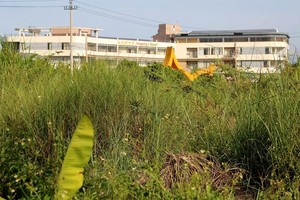 Sau gần 3 năm hoạt động, đến ngày 7/7/2022, Khu du lịch Nghĩa Thuận mới được UBND tỉnh Quảng Ngãi ký quyết định cho chuyển mục đích sử dụng 100.889,2m2 đất nông nghiệp và phi nông nghiệp. Ảnh: Thanh Chung