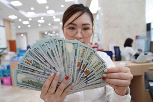 Những tháng cuối năm, nguồn cung ngoại tệ trong nước có thể tích cực hơn theo yếu tố mùa vụ. Ảnh: Dũng Minh