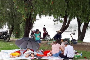 Đà Lạt muốn thí điểm mô hình “Bãi cắm trại du lịch” trên đất nông nghiệp