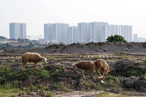 Tín dụng bất động sản có đến 94% nguồn vốn là cho vay trung và dài hạn, nhưng lại đang đè nặng lên hệ thống ngân hàng thương mại vốn có bản chất huy động ngắn hạn