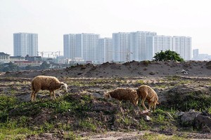 Đất đai cho nhà ở thương mại cần lời giải thuyết phục