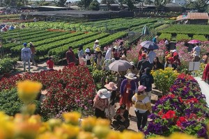 Du khách tham quan Làng Hoa Sa Đéc