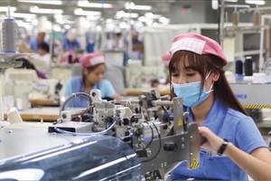 Trong số các doanh nghiệp đăng ký thành lập mới, nhóm ngành công nghiệp -xây dựng chiếm 24,7% 