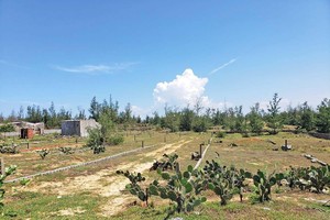 Nhiều trường hợp phân lô, tách thửa gây khó cho quản lý đất đai. Trong ảnh: Một lô đất phân lô tại tỉnh Quảng Ngãi. Ảnh: Linh Đan