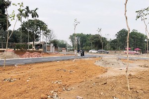 Cho phép chia lô, tách thửa đất sẽ giúp cung ra thị trường những nền đất có giá vừa túi tiền. Ảnh: Dũng Minh