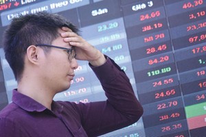 Thị trường chứng khoán lao dốc mạnh đã ảnh hưởng tới lợi nhuận đầu tư của các doanh nghiệp bảo hiểm