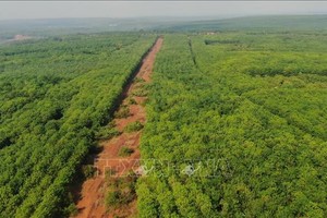 Đường băng còn sót lại của sân bay Hớn Quản. Ảnh: Sỹ Tuyên - TTXVN.