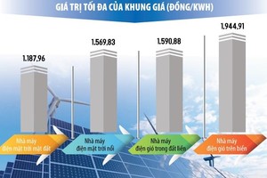 Đồ họa: Đan Nguyễn