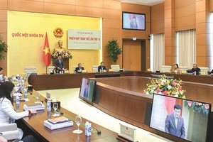 Chủ nhiệm Ủy ban Kinh tế của Quốc hội Vũ Hồng Thanh phát biểu tại phiên thẩm tra 