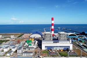 (Ảnh chỉ mang tính minh họa)