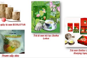 Sản phẩm OCOP tỉnh Đồng Tháp. Ảnh: www.dongthap.gov.vn