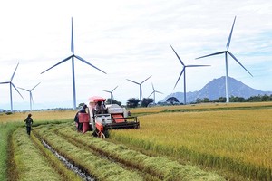 Theo Nghị quyết số 26-NQ/TW của Bộ Chính trị, Vùng Bắc Trung Bộ và Duyên hải Trung Bộ sẽ trở thành vùng sản xuất nông nghiệp có tốc độ tăng trưởng khá, hiệu quả và bền vững