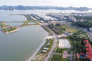 Hy vọng Luật Đất đai sửa đổi sẽ giúp nâng tầm vai trò của đất sản xuất, kinh doanh phi nông nghiệp. Ảnh: Đức Thanh