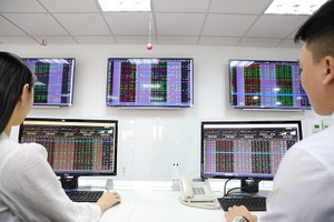 Xây dựng nguyên tắc trái phiếu toàn diện
