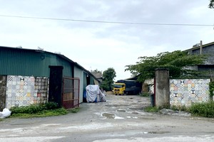 Công ty TNHH MTV BongTiles bị xử phạt hành chính. Ảnh minh họa